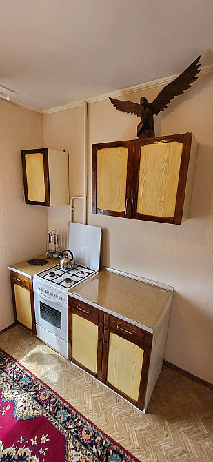 Сдам 1комнатную на Юбилейной/Спасская Кривий Ріг - зображення 3