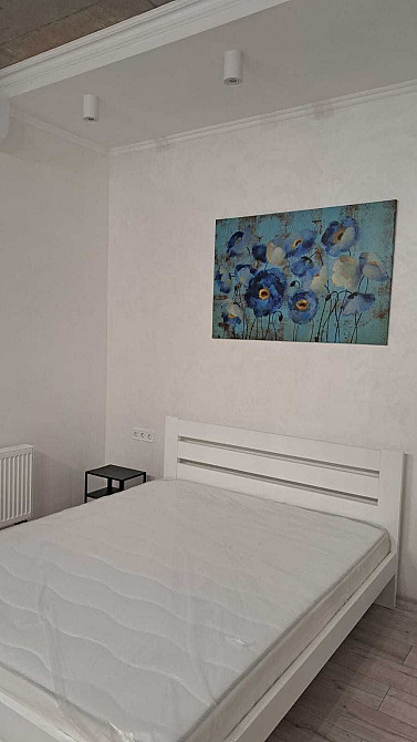 Оренда 1 К квартири Резиденція Залізна Вода Львів - зображення 6