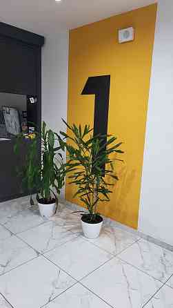 Своя 1 комнатная квартира/Новострой/Дом мебели/Св.Рихтера/Черёмушки Одеса