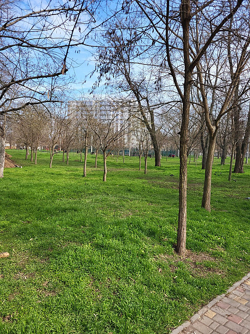 Своя 1 комнатная квартира/Новострой/Дом мебели/Св.Рихтера/Черёмушки Одеса - зображення 4