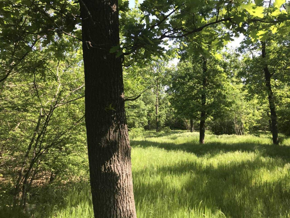 Рассрочка в сданном доме.  Кирпичный дом. Парк. Одесса - изображение 4