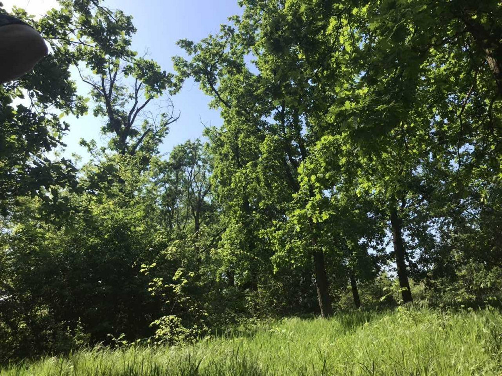 Рассрочка в сданном доме.  Кирпичный дом. Парк. Одесса - изображение 2