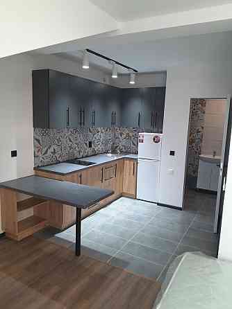 Оренда квартири в новобудові 11500 грн Львов