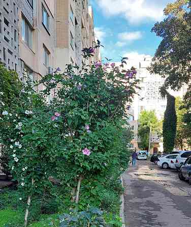 Продам 1 ком. кв. ул. Марсельская Одеса