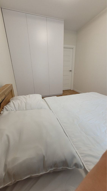 Кіт, Я і та сама квартира! Ірпінь, район центрального парку! Ірпінь - зображення 5