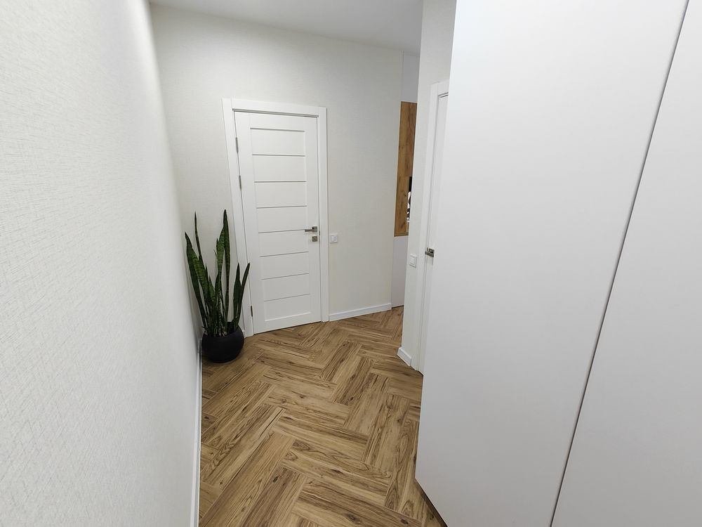 Кіт, Я і та сама квартира! Ірпінь, район центрального парку! Ірпінь - зображення 7