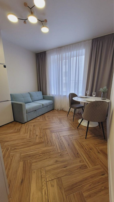 Кіт, Я і та сама квартира! Ірпінь, район центрального парку! Ірпінь - зображення 4