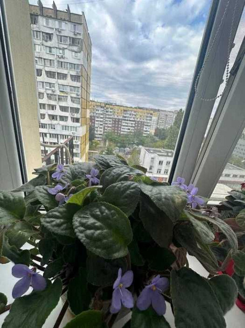 Продам большую квартиру 75 кв. м на жм Победа 5 сертификат / безнал!!! Днепр - изображение 4