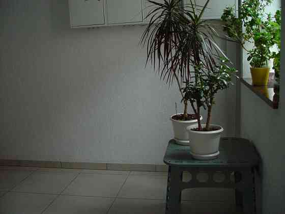 Продам нову квартиру з ремонтом, документам більше трьох років. Софіївська Борщагівка