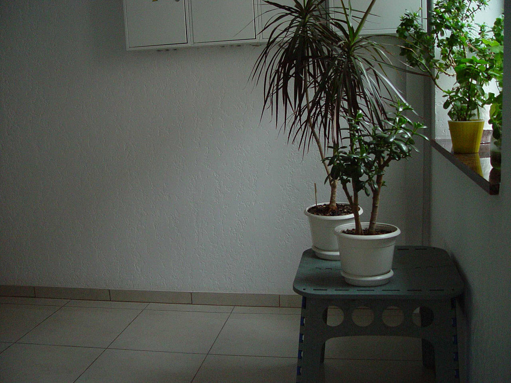 Продам нову квартиру з ремонтом, документам більше трьох років. Софіївська Борщагівка - зображення 1