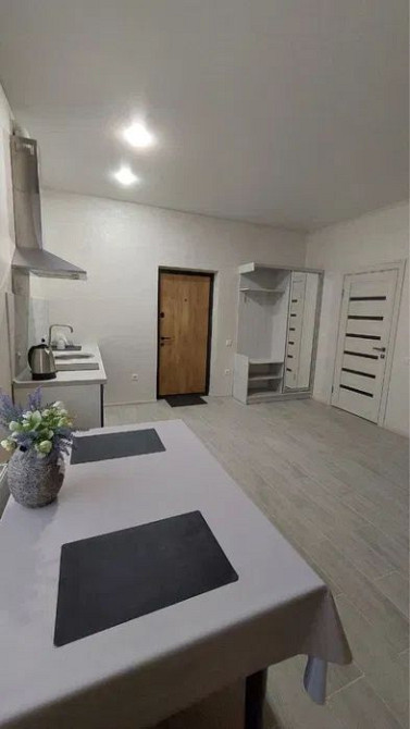 Сдам Студию Молодая Гвардия/ Державина Частный дом Копейка АТБ Поселок Одеса - зображення 3