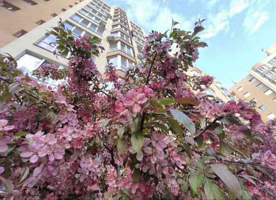 ‼️С Документами 40,000$1к/43м2‼️ПодРемонтЗаселенном Доме Софіївська Борщагівка