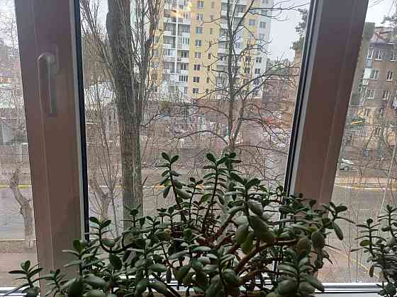 Квартира у гарному стані 25000 Всього Ірпінь