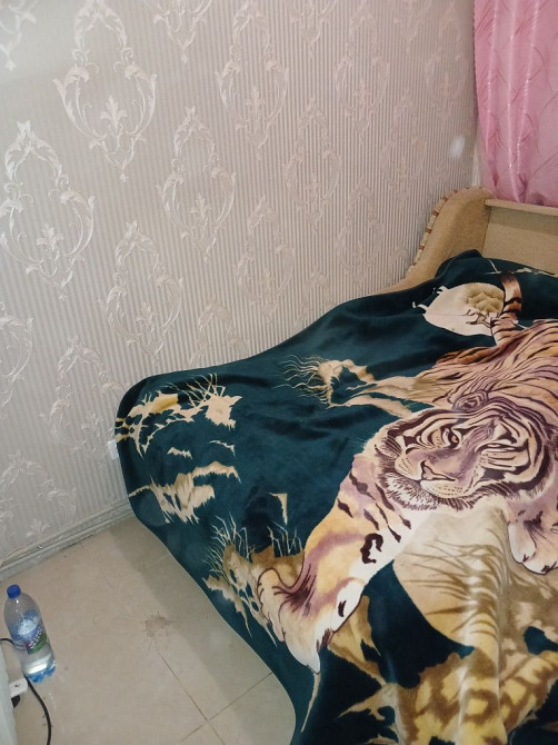 Здам однокімнатну квартиру в центрі міста Житомир - зображення 3