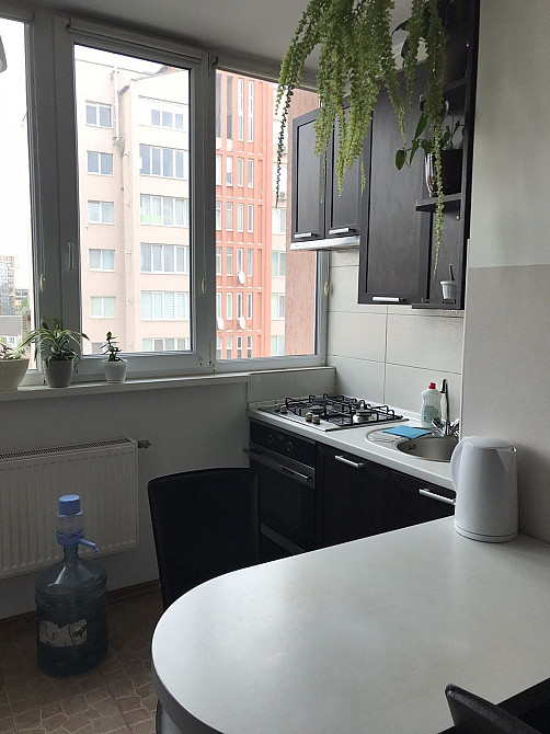 Здам в оренду однокімнатну квартиру. Луцьк - зображення 1