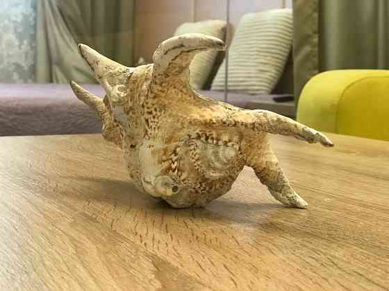 Сдам 1к в 24 Жемчужине Одеса