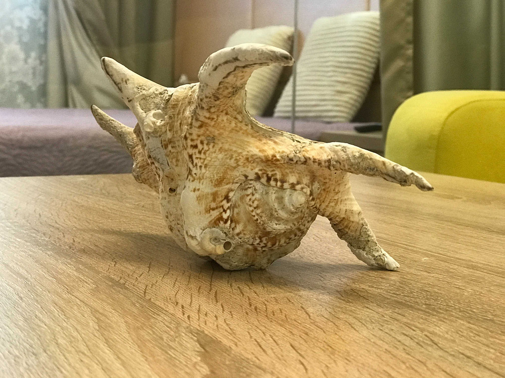 Сдам 1к в 24 Жемчужине Одеса - зображення 2