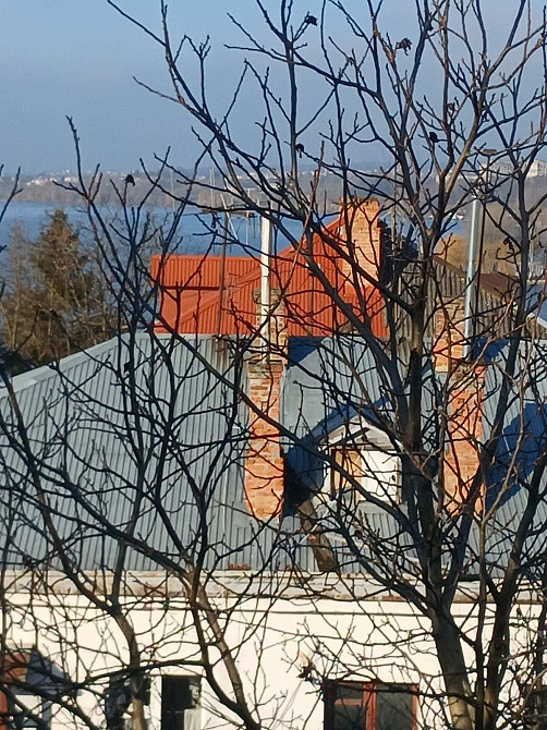 Оренда 2 кім квартири. Центр. Озеро. Тернопіль Тернополь - изображение 2