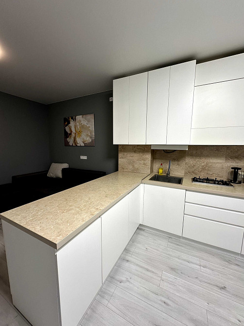 Оренда однокімнатної квартири+кухня студія в ЖК "Хвиля", Брюховичі. Брюховичи - изображение 2