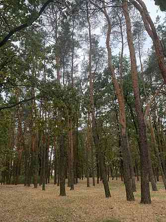 Новий проект малоповер. житла в Дарницькому районі, поруч парк, метро. Київ