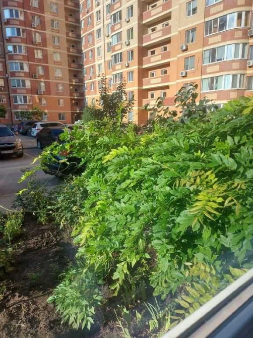 Продам 2к  64 метров в Кирпичном доме Иличанка - изображение 7