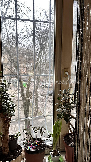 Чоколівка Площа Космонавтів вулиця Волинська 6 Київ - зображення 4