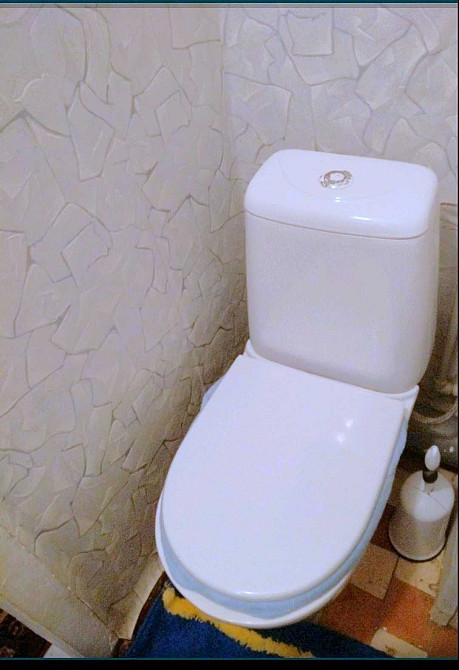 Центр! Цегляний Будинок Не Кутова! Тепла Квартира Металопластик. вікна Полтава - зображення 8