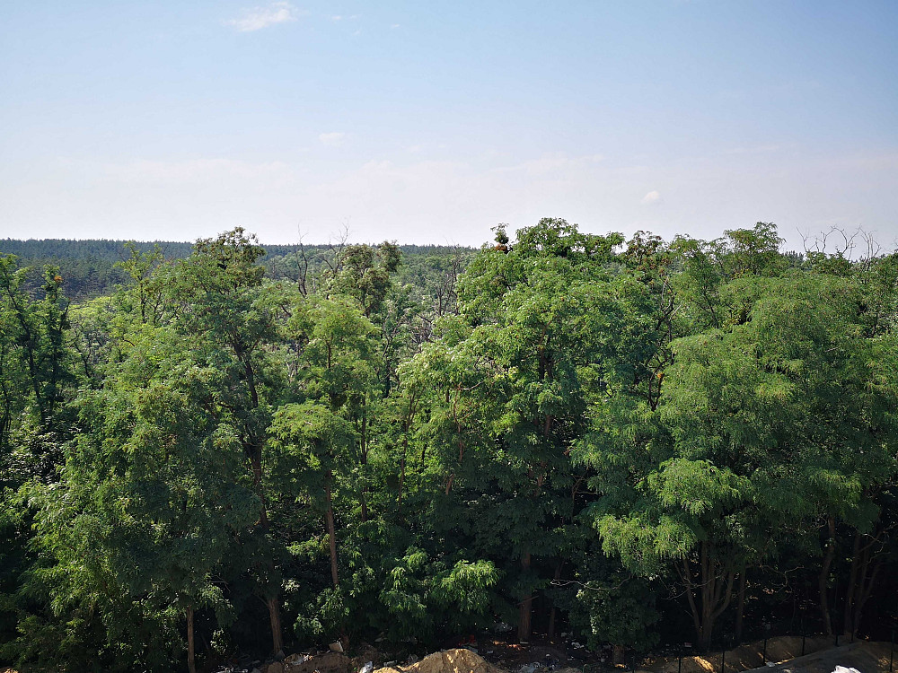 Продам 2-х кімнатну видову квартиру  «Обухівський ключ» від власника Обухів - зображення 6