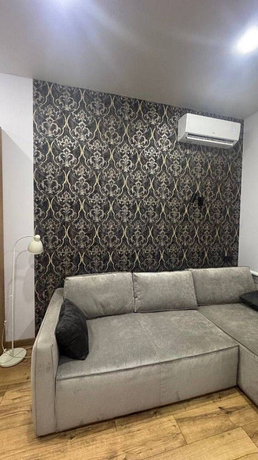 Сдам 1 комнатную квартиру низ Кирова, Александра Поля, Центр Дніпро - зображення 3