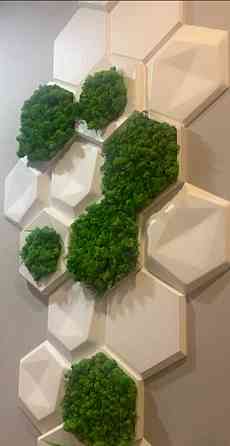 Терміново здам 3-х кім в ЖК Місто квітів.
вул.Тираспольська, 58. Київ