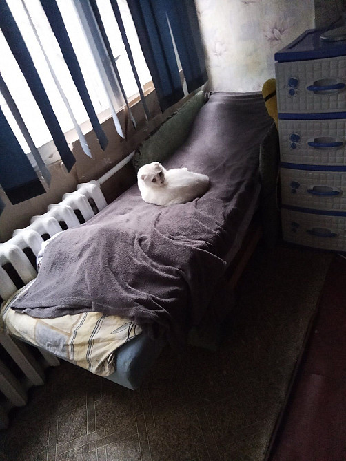 Вільна 1 к квартира Генерала Наумова 27 Київ - зображення 3