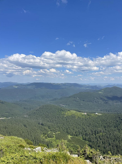 Здається 2к. Квартира Івано-Франківськ - зображення 1