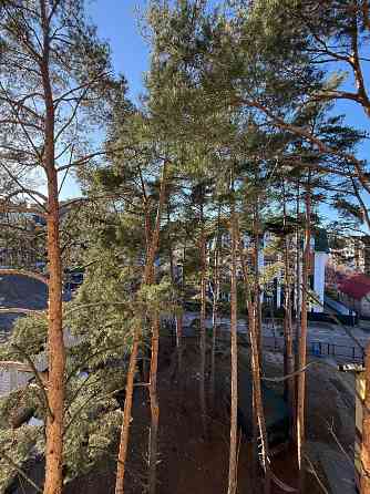 Чудова пропозиція! 2К квартира 63 м2 з газом  біля Центрального парку Ирпень