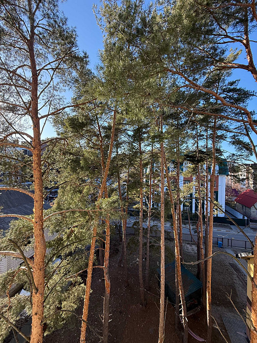 Чудова пропозиція! 2К квартира 63 м2 з газом  біля Центрального парку Ирпень - изображение 5