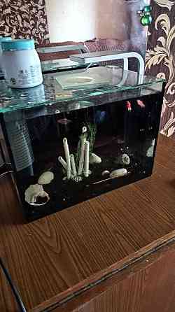 Оренда 2к квартири Вишенька (9842) Винница