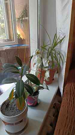 Оренда 2к квартири Вишенька (9842) Винница