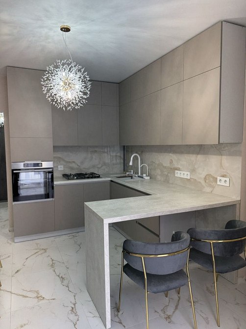 Оренда 1-кімнатної квартири вул.Пимоненка Львов - изображение 1