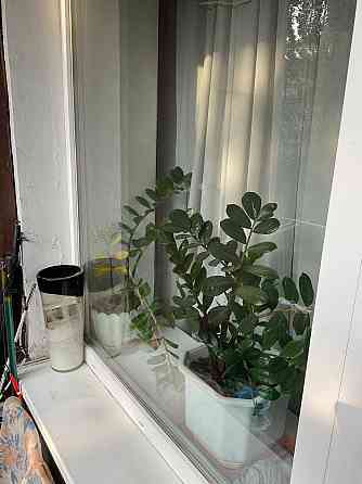 Продаю квартиру 2х комнатную на Сегедской Одесса