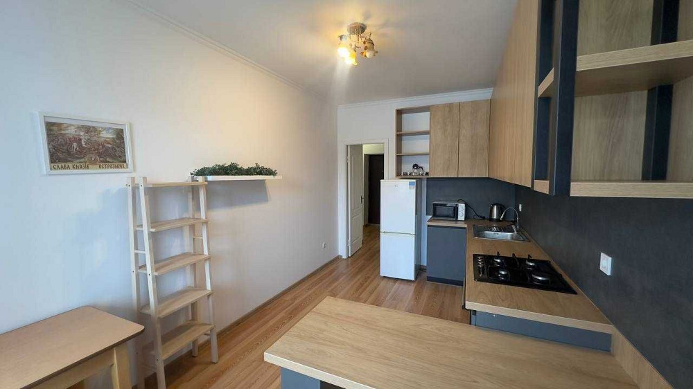 Оренда 1-кім квартири по вул. Лінкольна Львів - зображення 3