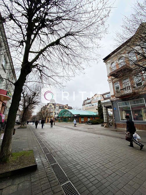 Здається сучасна 2-кімнатна студія в Центрі міста Луцьк - зображення 3