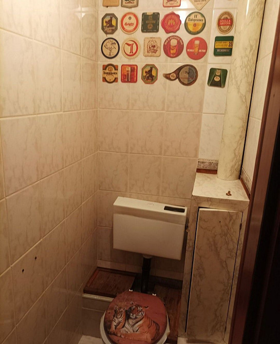 Здається двох кімнатна на місяць.Росвигово. Мукачево - изображение 6