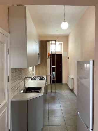 Оренда двокімнатної квартири, вулиця Мучна, Личаківський район Львов