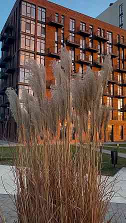 Продам 1к квартиру-студию с ремонтом в Пространстве на Черемушках Одесса