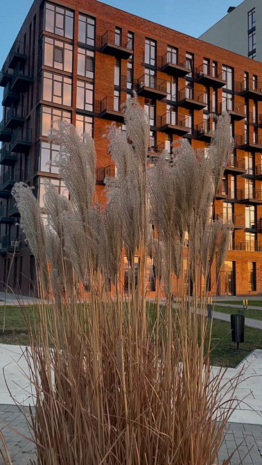 Продам 1к квартиру-студию с ремонтом в Пространстве на Черемушках Одесса - изображение 1