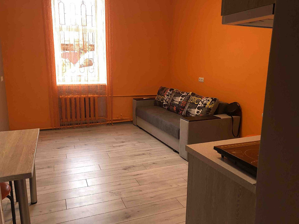 ОРЕНДА однокімнатної квартири студї Шевченка поруч Семицвіт ,Британія Львов - изображение 2