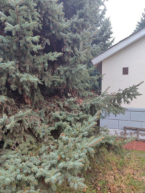 Продаж квартири в таунхаусі - 449кв.м. в центрі міста Новомосковськ - зображення 6