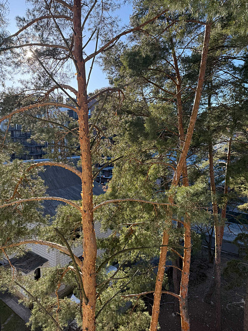 Продаж 2к квартири поруч з Центральним парком  Кладова в подарунок Ірпінь - зображення 7