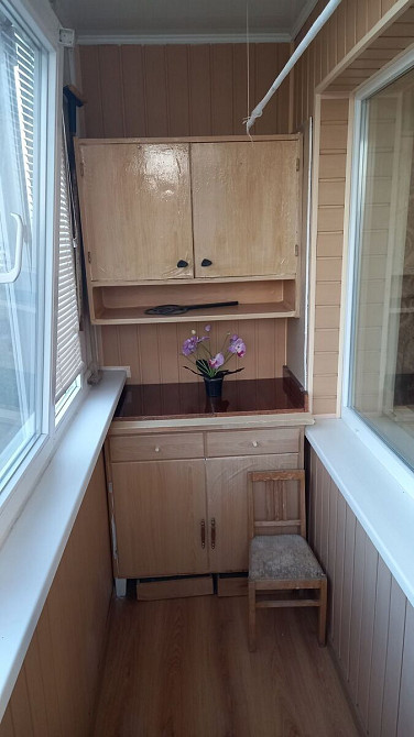 Оренда 1кмн Піски (111930941) Запоріжжя - зображення 3