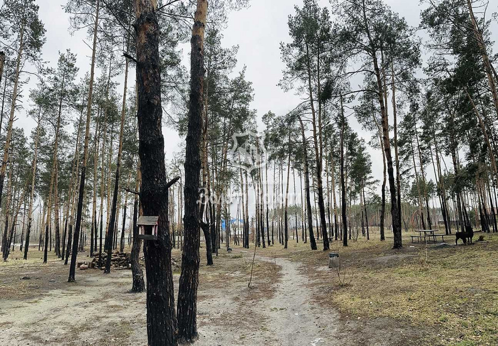 Квартира, 1к. Новий будинок. Стан — будівельників. Ірпінь, Бучанський Ірпінь - зображення 7