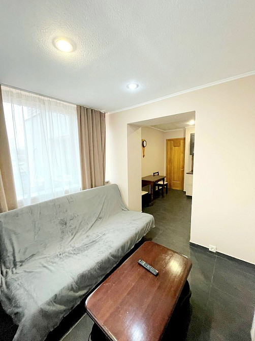 2к Литейная 15, Центр,  можно с небольшим животным Дніпро - зображення 8